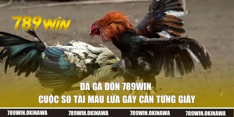 Đá gà đòn